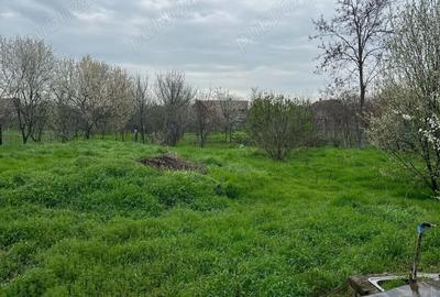 Casă cu 3 camere cu Teren 1454 Mp în Variaș - 2