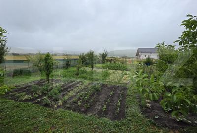 Teren de 800 mp, în Central
