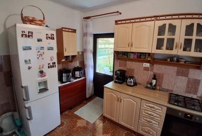 Casa individuala P+1 100mp si 453mp teren - locatie centrala Valea Lupului - 7