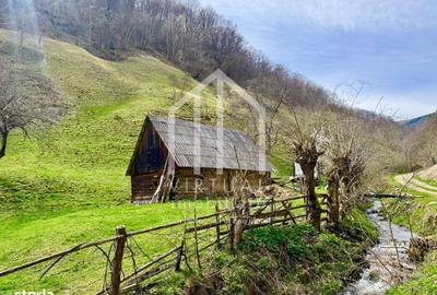 Teren de 12167 mp, în Câineni - 10