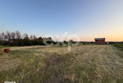 Spațiu comercial, în Trivale - 3