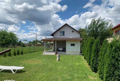 Casă cu 4 camere cu Teren 1497 Mp în Ștefănești - 8
