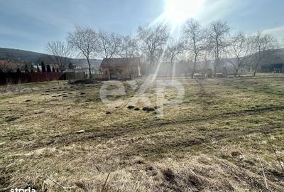 Spațiu comercial, în Central - 5