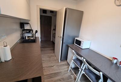 Apartament cu 2 camere semidecomandat, mobilat în Gorjului - 16