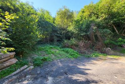 Teren intravilan - 1.780 mp - Saliste - vedere minunata - 3