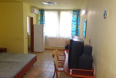 Garsonieră semidecomandată în Gojdu - 1