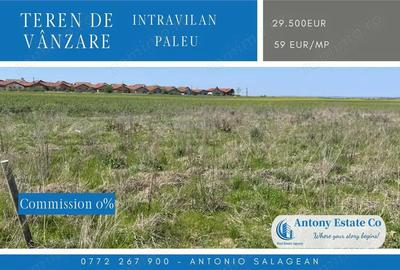 Teren intravilan de vanzare Paleu - 1