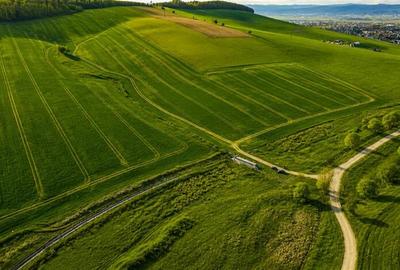 Teren extravilan de 23669 mp, în Sângeorgiu de Mureș - 5