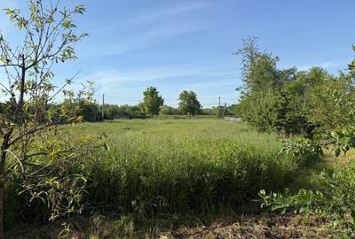 Teren Construcții intravilan de 3360 mp, în Sânmihaiu Român - 3