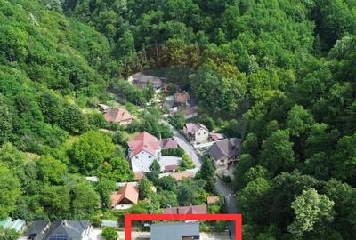 VILA NOUA DE VANZARE in zona Parcul Mare (Regina Maria) - 11