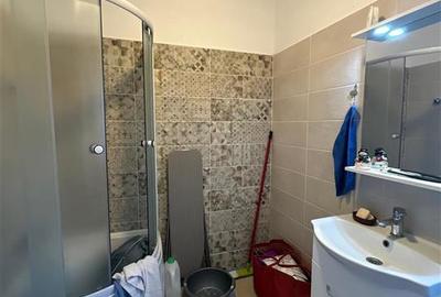 Apartament cu 3 camere decomandat în Valea Lupului - 13
