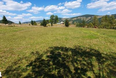 Teren de 6923 mp, în Arieșeni - 4