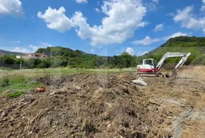 Teren de 3500 mp, în Viișoara - 1