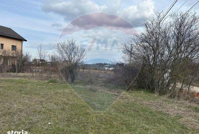 Teren de 700 mp, în Ciolpani