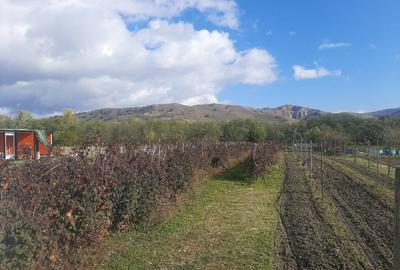 Vand parcela teren extravilan - 2