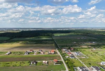 Teren Construcții intravilan de 625 mp, în Moșnița Veche - 5