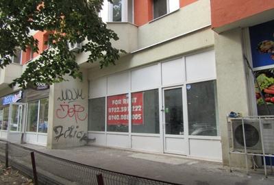 Inchiriere spatiu comercial Teiul Doamnei - 4