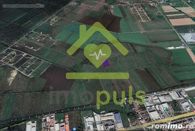 ? Teren extravilan in Ghiroda, 100 euro/1 mp.? - 1