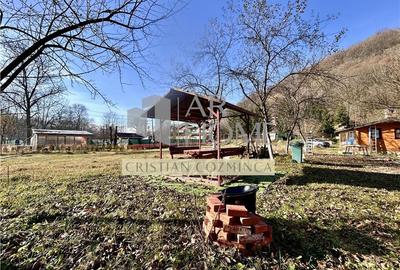 Teren cu constructii Cosmina de Sus - Foisor, baie, cabanuta si umbrar - 9