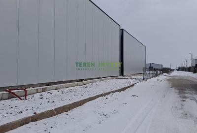 Hala depozitare -  Cernica  Theodor Pallady - 9