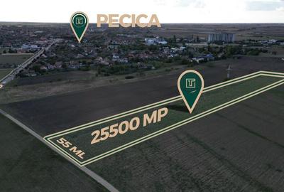 Teren de 25500 mp, în Est