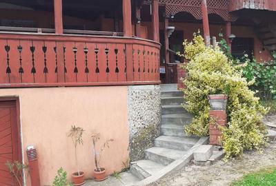 Casă cu 3 camere în Viile Satu Mare - 3