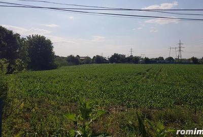 Teren de 5000 mp, în Giurgiului - 3