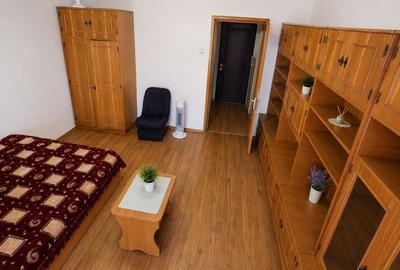 Garsonieră în Brazda lui Novac - 6