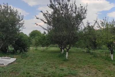 Casa de vanzare in Secaseni - 8