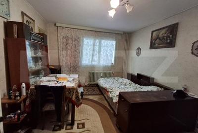 Apartament cu 2 camere semidecomandat în Brazda lui Novac