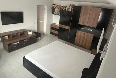 Casa spatioasa, mobilata,utilata,perfect pentru familie- Simian - 4