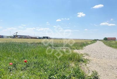 Teren intravilan 2 hectare zona Fan Courier - 6