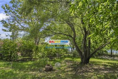 Vila Lacul TEI PETRICANI INSULA LAC 1900 MP TEREN - 17