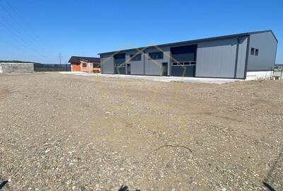 Hala industriala 430mp cu spatiu de birouri 130mp | Oradea - 2