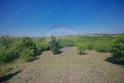 Casă cu 6 camere cu Teren 1253 Mp în Spitalul Județean - 13