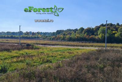 EForest, Loturi de teren 720mp langa padure, acces DN1A - 2