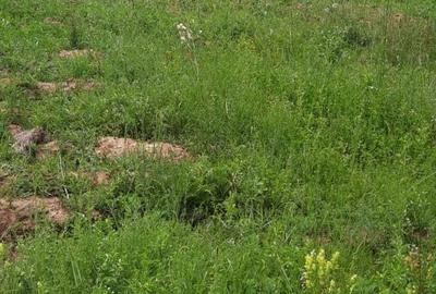 Spațiu comercial, în Luncani - 9