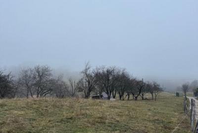 Teren Poiana Marului -Zarnesti -Brasov - 2