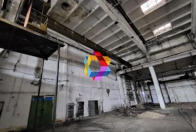 Hala - 1137 mp  # plus-imo.ro - 3