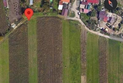 Teren de 3600 mp, în Gușterița - 1