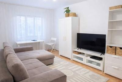 Apartament cu 2 camere decomandat, mobilat în City Park Mall - 6
