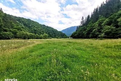 Teren de 1893 mp, în Central