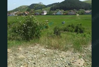 Teren de 1400 mp, în Luna - 2