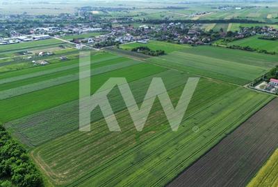 Teren intravilan 34.640 mp Stupini, str. Baciului-Luncii - 14