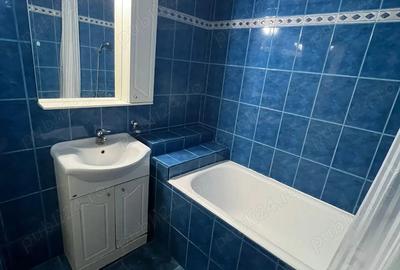Apartament cu 3 camere decomandat în Nufărul - 4