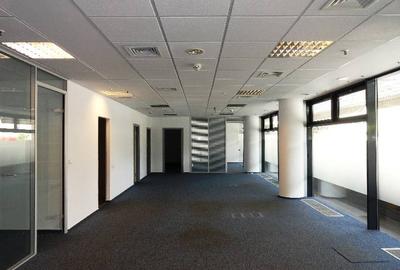 Birou, de 219 mp, în Floreasca - 11