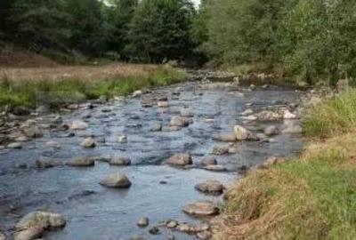 Cabana Valea Draganului 70 km de Cluj, 5 dormitoare, izvor in curte - 3