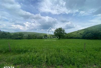 Teren de 15900 mp, în Năeni - 7