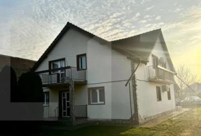 Casă cu 7 camere cu Teren 938 Mp în Peciu Nou - 1