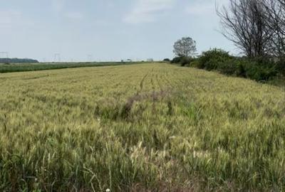 Teren de 770 mp, în Exterior Vest - 1